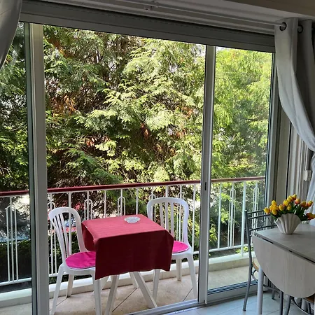 Apartment Cros De Cagnes, With The Location *