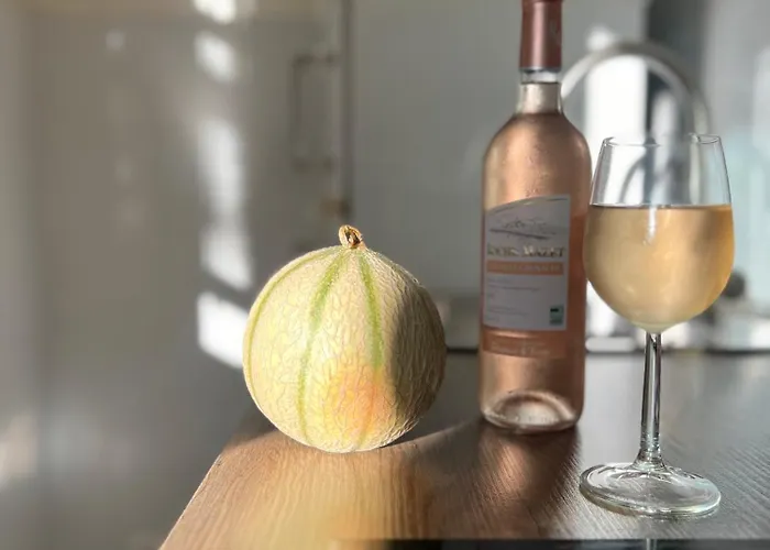 Apartamento Cros De Cagnes, With The Location